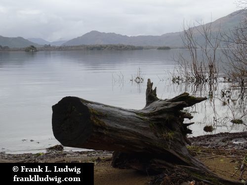 Lough Leane